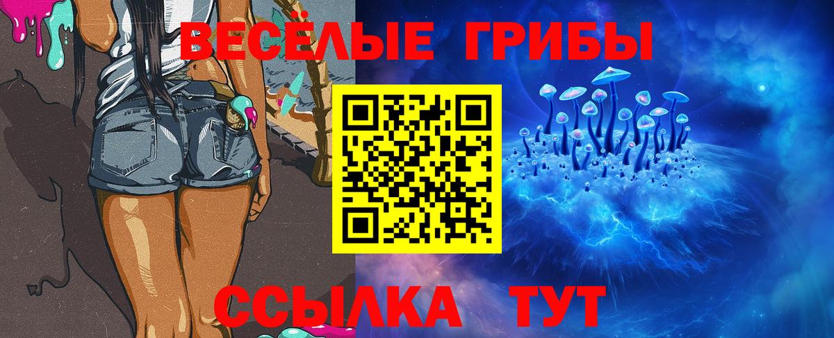 Псилоцибиновые грибы мухоморы Тихвин