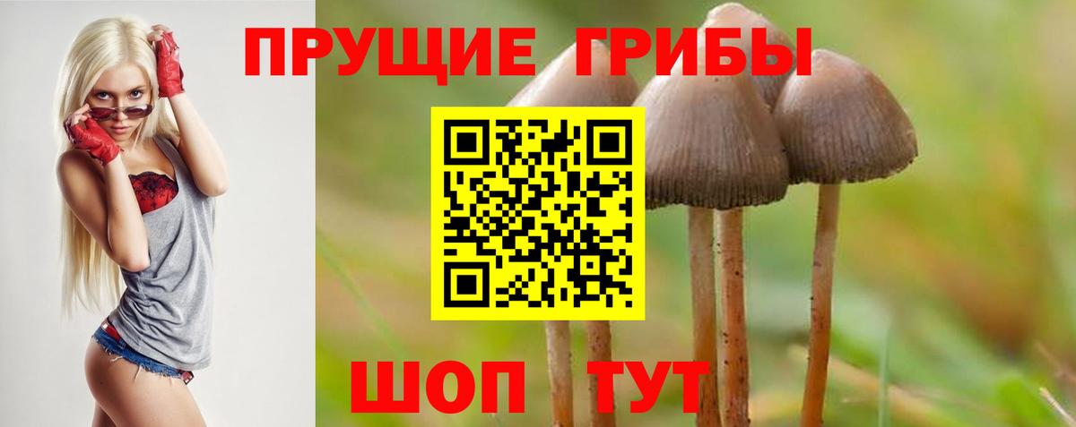 Тихвин  Псилоцибиновые грибы MAGIC MUSHROOMS  Вход с VPN 